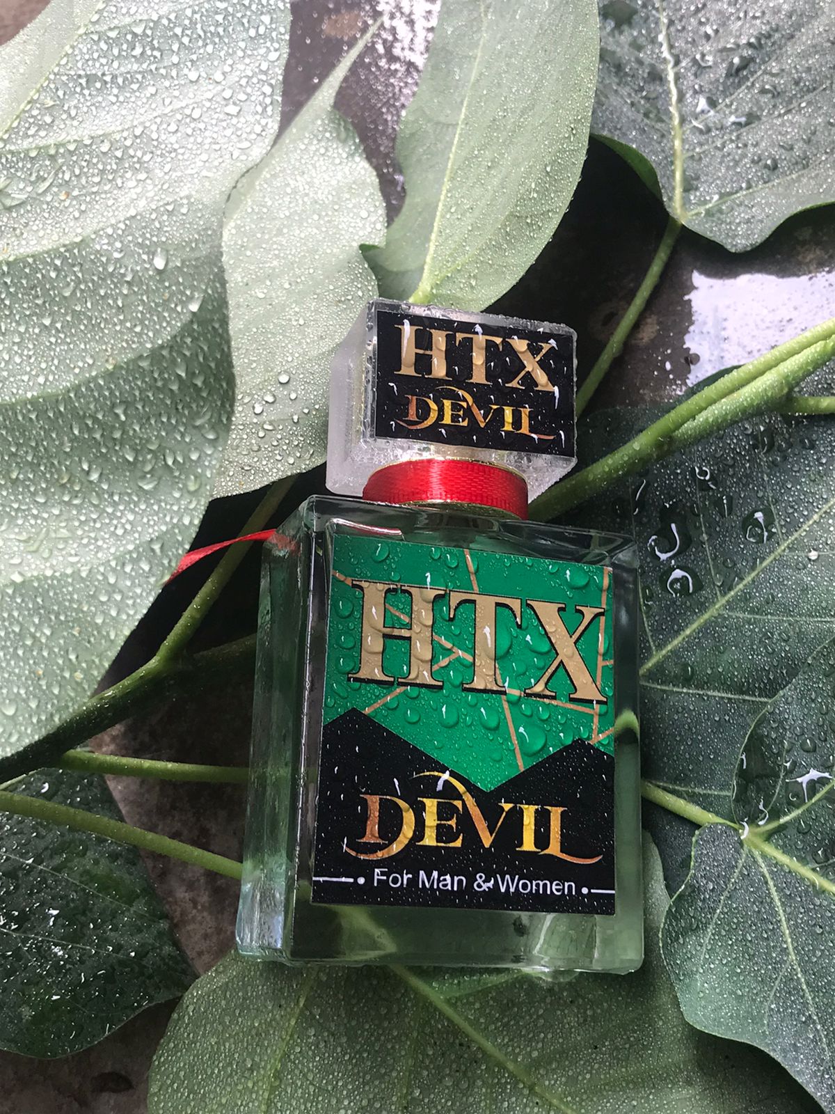 Devil by HTX-a fresh,spicy,citrusy fragrance with a bold and daring edge.